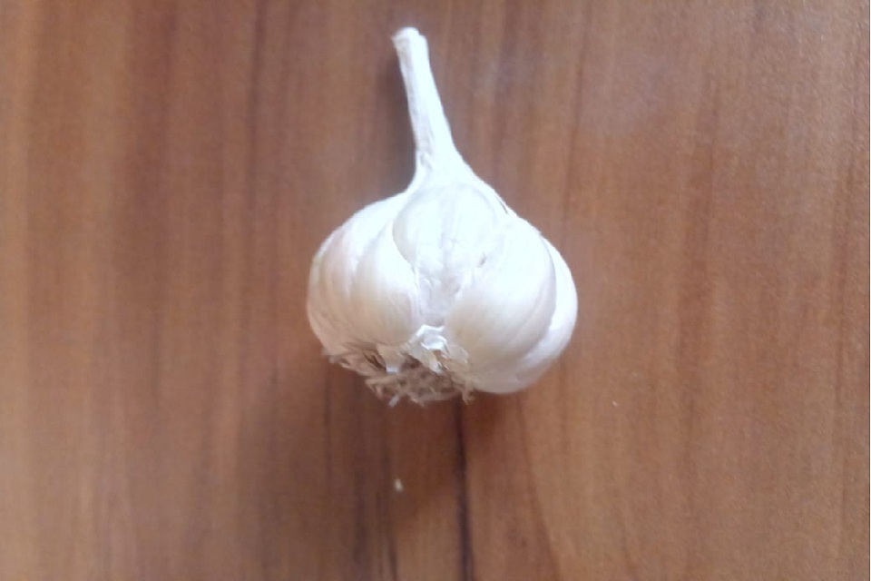 Raw Garlic Benefits : कच्चा लसूण खाणं ठरेल संजीवनी,  दररोज खाल्ल्याने 