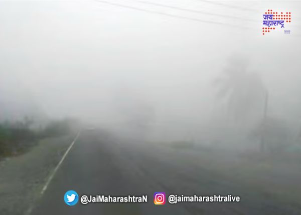 मुंबई-गोवा महामार्गावर धुक्याची चादर