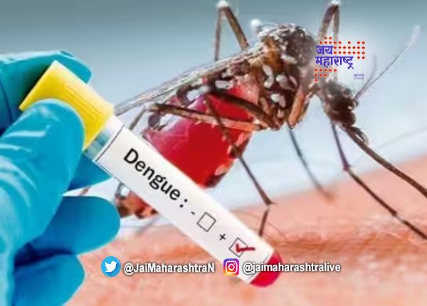 अमरावती शहरात २ दिवसात डेंग्यूचे ९ रुग्ण