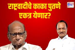 Sharad Pawar and Ajit Pawar together?: राष्ट्रवादीचे काका पुतणे एकत्र येणार? 
