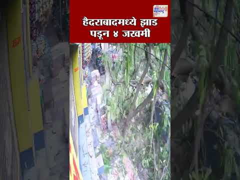 हैदराबादमध्ये झाड पडून ४ जखमी