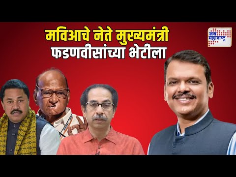 MVA Leaders Met Devendra Fadnavis | मविआचे नेते मुख्यमंत्री फडणवीसांच्या भेटीला | Marathi News