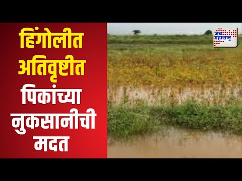 Hingoli Crop Loss | हिंगोलीत अतिवृष्टीत पिकांच्या नुकसानीची मदत | Marathi News