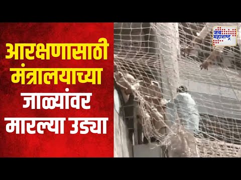 Dhangar Reservation | धनगर आरक्षणासाठी मंत्रालयाच्या जाळ्यांवर मारल्या उड्या | Marathi News