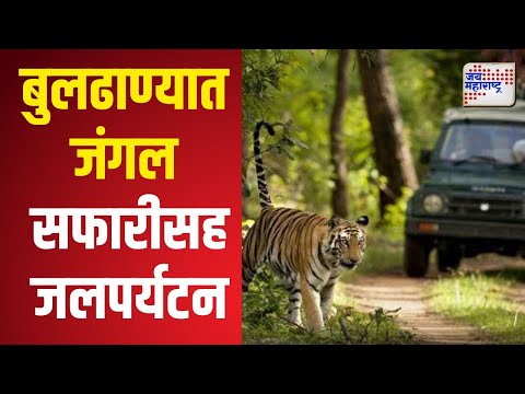 Buldhana Jungle Safari | जंगल सफारीत वन्यप्राणी दिसले, पर्यटक वाढले | Marathi News