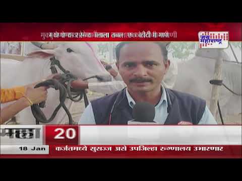 Baramati | मुका घेणाऱ्या सोन्या बैलाला तब्बल एक कोटीची मागणी | Marathi News