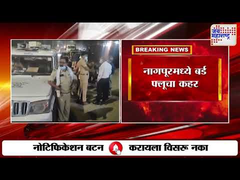 Nagpur | Bird Flu | नागपूरमध्ये बर्ड फ्ल्यूचा कहर | Marathi News