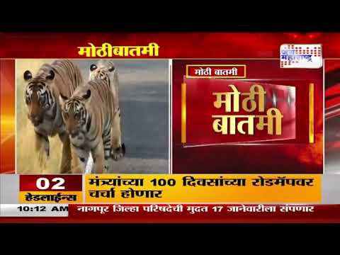 Maharashtra Lost 22 Tigers | वर्षभरात राज्यानं गमावले 22 वाघ | Marathi News