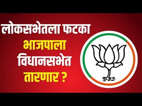 Maharashtra Vidhan Sabha |  लोकसभेतला फटका भाजपाला विधानसभेत तारणार ? | Marathi News