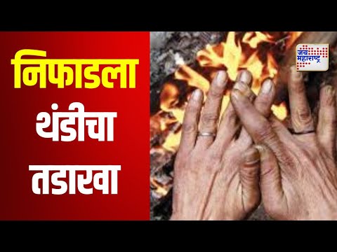 Nashik | निफाडला थंडीचा तडाखा, द्राक्षमणी तडकण्याची भीती | Marathi News