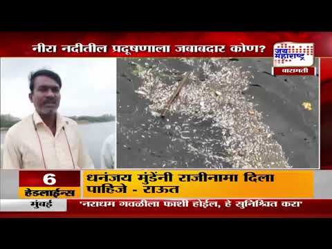 Baramati | Nira River | नीरा नदीत रसायन मिश्रित पाणी | Marathi News