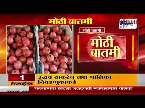 Pomegranate  demand  increased |  थंडीच्या हंगामात डाळींबाची मागणी वाढली  | Marathi News