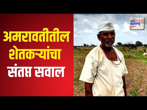 Amravati Farmers | निवडणूक संपली, सोयाबीनच्या हमीभावाचं काय? | Marathi News