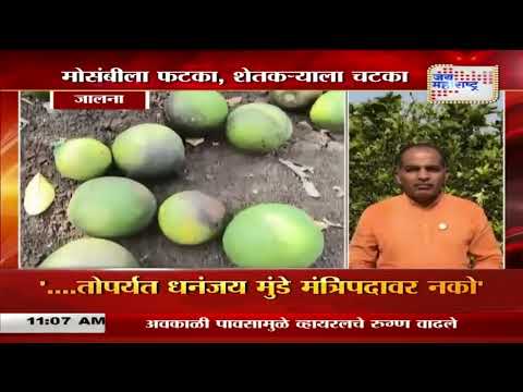 Jalna | Mosambi | बदलत्या वातावरणाचा मोसंबीला फटका | Marathi News