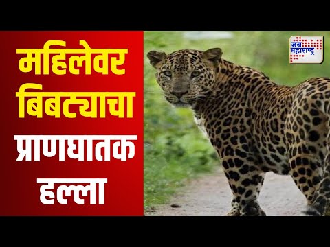 Leopard Attack On Woman | महिलेवर बिबट्याचा प्राणघातक हल्ला | Marathi News