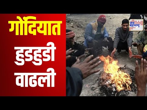 Gondia Cold | गोंदियात हुडहुडी वाढली | Marathi News