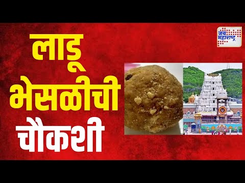 Tirupati Mandir Ladu Controversy  | तिरुपती लाडू भेसळीची चौकशी सुरु | Marathi News