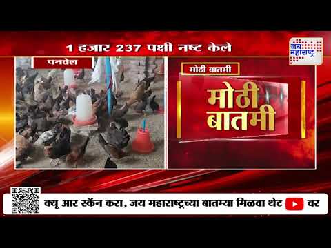 Panvel Bird Flu Virus | पनवेलमध्ये बर्ड फ्लूचा कहर | Marathi News