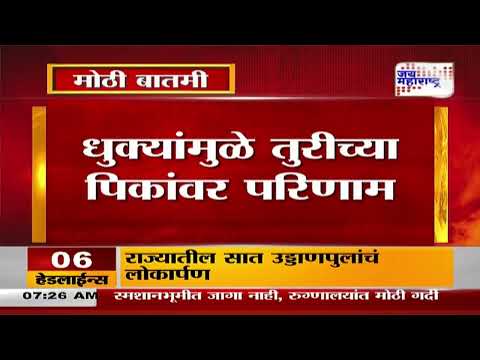 Hingoli | 10 एकर तुरीच्या पिकावर फिरवला रोटावेटर | Marathi News