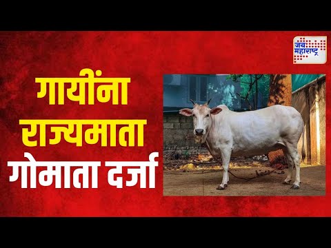 Maharashtra Cabinet | गायींना राज्यमाता गोमाता दर्जा | Marathi News