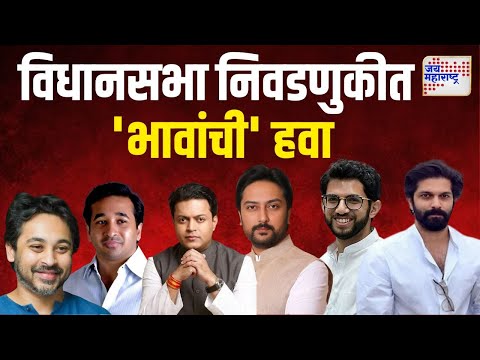 Vidhan Sabha Election 2024 | विधानसभा निवडणुकीत 