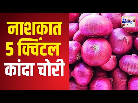 Nashik Onion | शेतातून काढणी केलेला ५ क्विंटल लाल कांदा चोरी | Marathi News