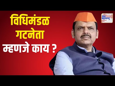 Devendra Fadnavis | विधिमंडळ गटनेता म्हणजे नेमकं काय ? | Marathi News