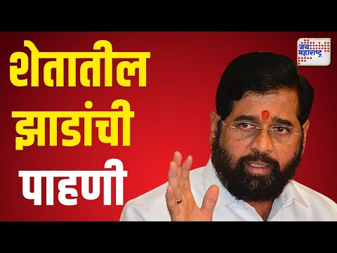 Eknath Shinde | उपमुख्यमंत्री एकनाथ शिंदेंकडून शेतातील झाडांची पाहणी | Marathi News