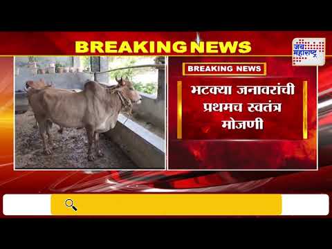 Amravati | अमरावतीच्या 1 हजार हून अधिक गावात पशुगणना | Marathi News