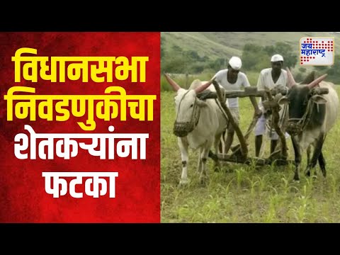 Maharashtra Assembly Elections 2024 | विधानसभा निवडणुकीचा शेतकऱ्यांना फटका | Marathi News