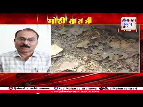 Udgir Crow Death | Bird Flu Update | 