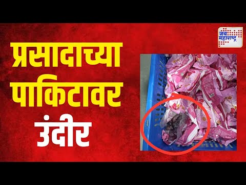 Siddhivinayak Temple Ladu Prasad | सिद्धिविनायकाच्या प्रसादाच्या पाकिटावर उंदीर | Marathi News