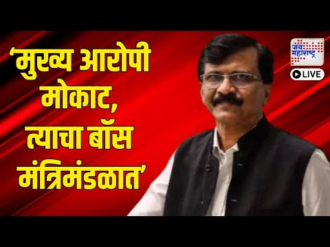 LIVE | Raut PC VS Mahayuti | Beed Deshmukh Case | 