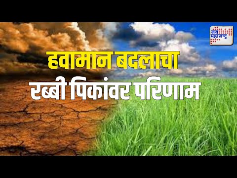 Dhule | हवामान बदलाचा रब्बी पिकांवर परिणाम  | Marathi News