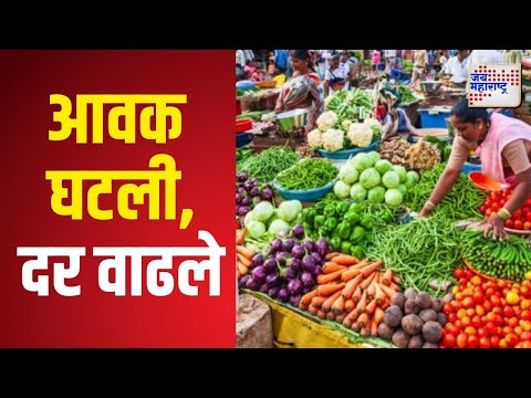 Navi Mumbai Vegetable Price | आवक घटली, दर वाढले | Marathi News