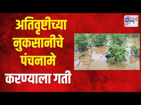 Gondia |  गोंदियात अतिवृष्टीच्या नुकसानीचे पंचनामे करण्याला गती | Marathi News