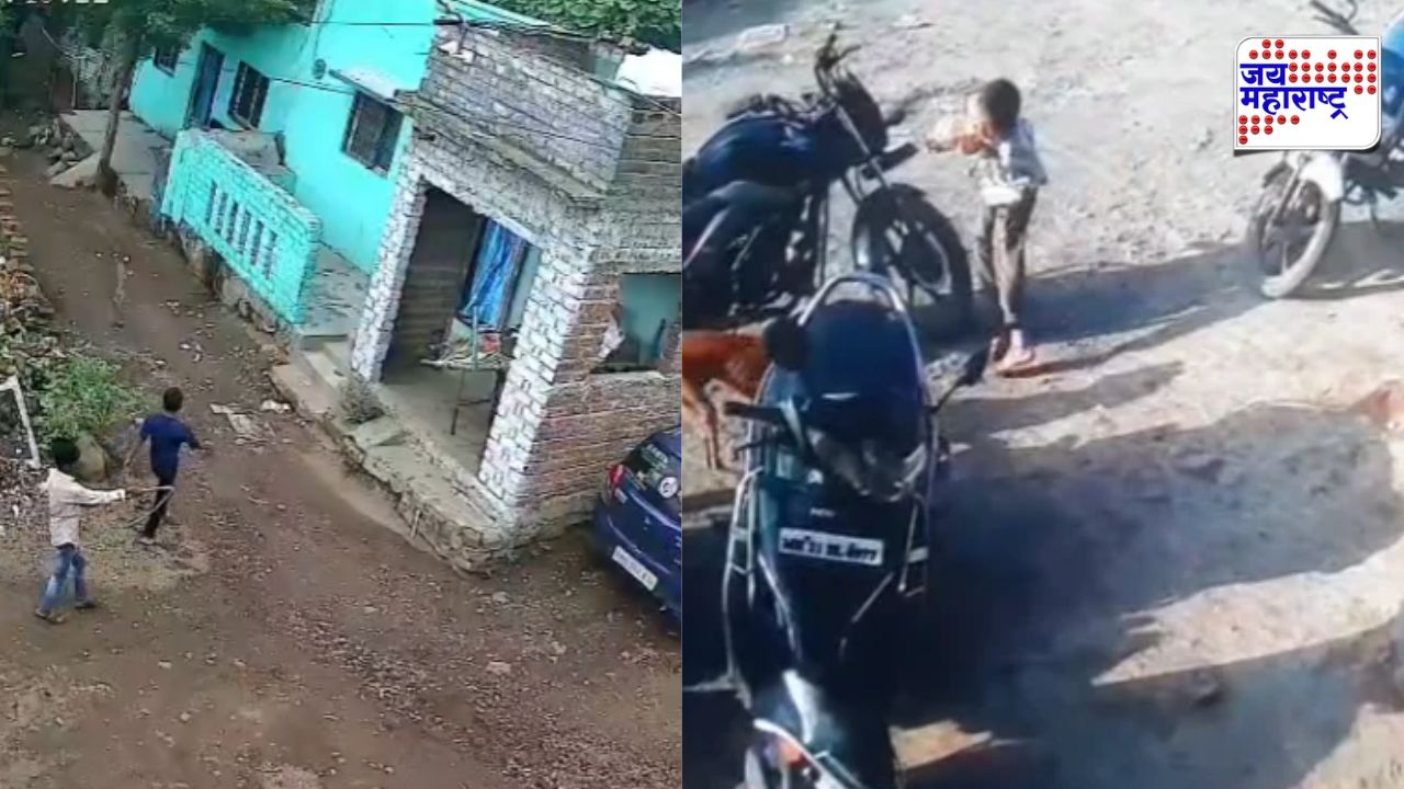 Dog Bite : छत्रपती संभाजीनगरमध्ये मोकाट कुत्र्यांची दहशत! अवघ्या 22 दिवसांत तब्बल 585 नागरिकांना चावा,आकडेवारीने वाढवली चिंता