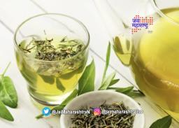 अवेळी  ‘ग्रीन’ टी पिणे धोकादायक