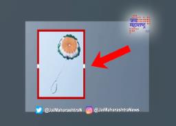 जोडप्याला पॅरासेलींग पडली महागात