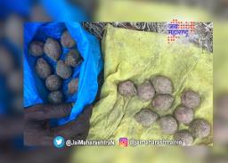 दापोलीतल्या पालगडमध्ये २० गावठी बॉम्ब जप्त