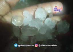 नांदेडमध्ये गारपीटांसह रब्बी पिकाचे नुकसान
