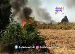बीडमध्ये ३०० एकरातील ऊस जळून खाक