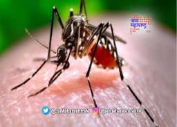 बुलढाण्यात डेंग्यूचा २ रुग्णांचा मृत्यू
