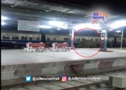 रेल्वे ट्रॅकवर आला हत्ती, पुढे काय घडलं…