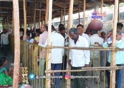विठुरायाची दर्शन रांग एकादशीपूर्वीच हाऊसफुल्ल
