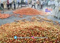 शेतकऱ्यांनी टॉमेटो फेकले रस्त्यावर