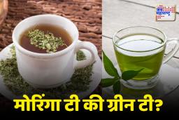 Moringa tea or green tea:वजन कमी करण्यासाठी मोरिंगा टी की ग्रीन टी फायदेशीर? जाणून घ्या खास टिप्स