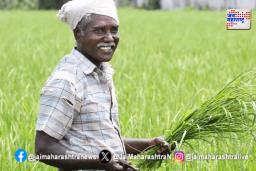 शेतकऱ्यांना कर्जमाफी दिली जाणार