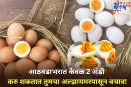 Best Foods to Boost Memory: आठवड्यातून फक्त 2 अंडी खाल्याने वाढेल तुमची स्मरणशक्ती; फक्त ‘या’ पद्धतीने करा सेवन