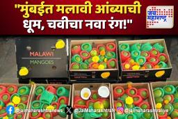 मुंबईकरांच्या जिभेचे चोचले पुरवणार आफ्रिकेचा आंबा